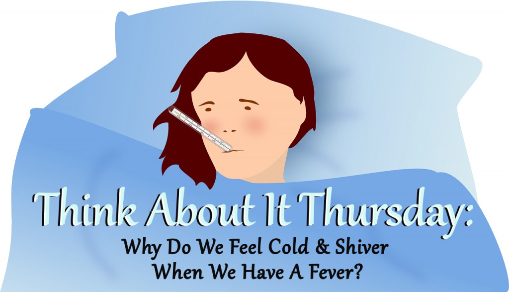 think-about-it-thursday-why-do-we-feel-cold-shiver-when-we-have-a-fever