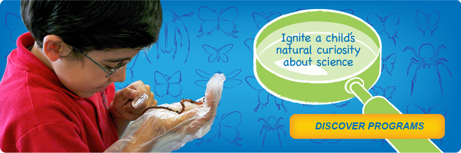 Fun Science Programs